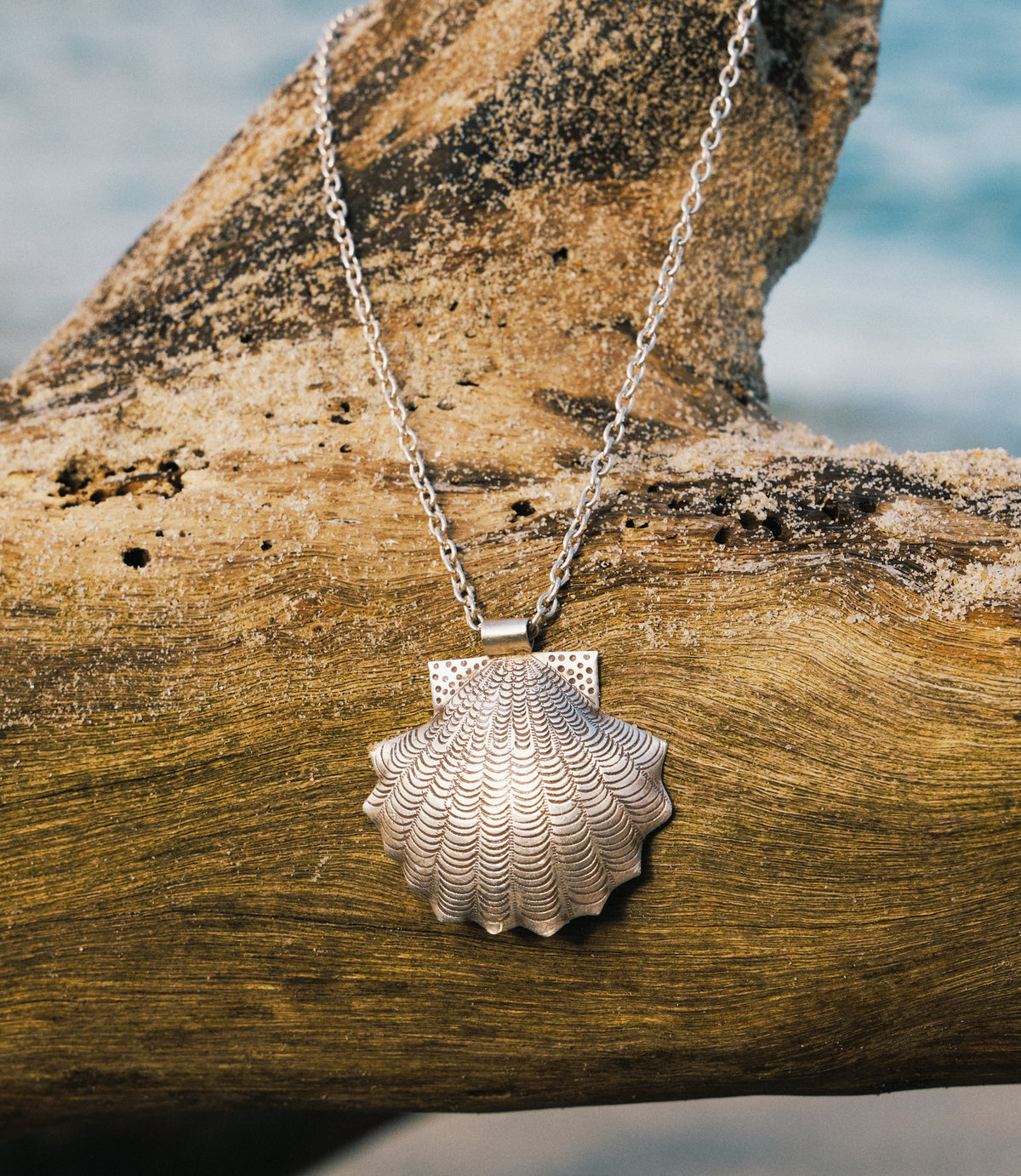 Amelia Necklace in pure silver featuring a delicate shell motif, handcrafted by Hill To Street