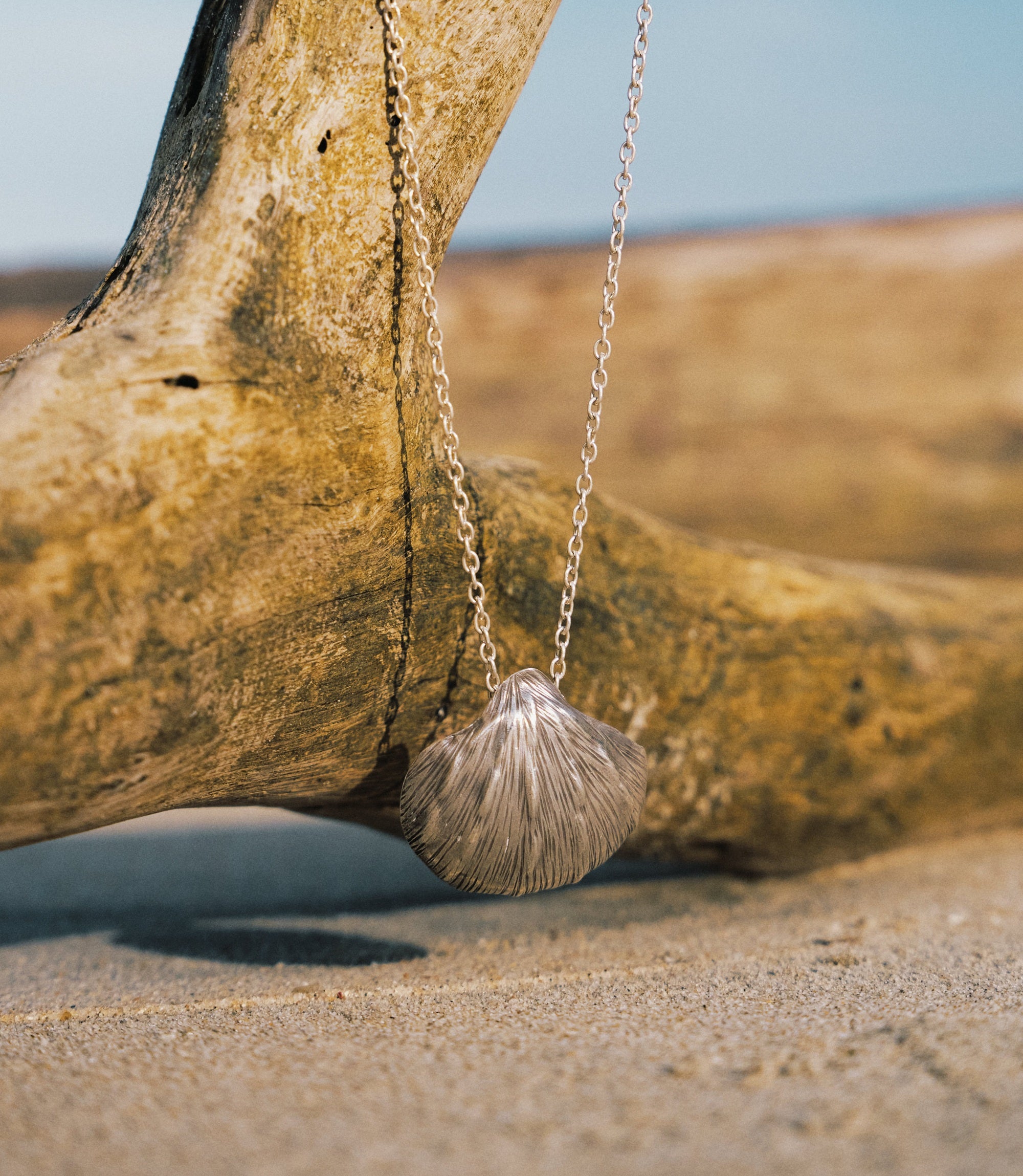 Tala Necklace — pure silver shell pendant necklace with etched detail on a beaded silver chain by Hill To Street